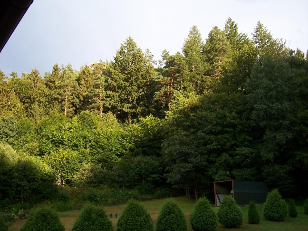 Ferienwohnung Am Pfaffenfels Schönau Zewnętrze zdjęcie