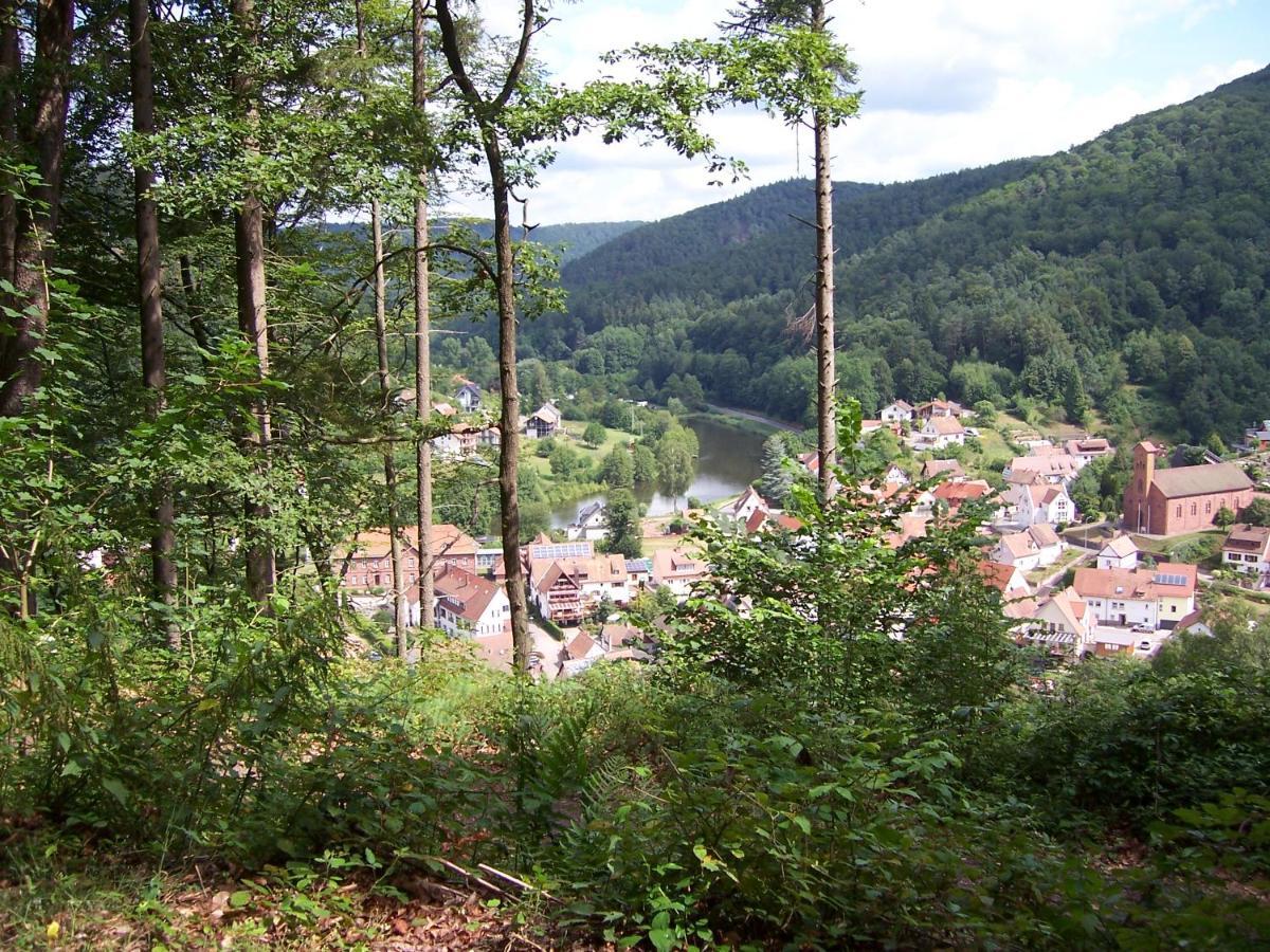 Ferienwohnung Am Pfaffenfels Schönau Zewnętrze zdjęcie